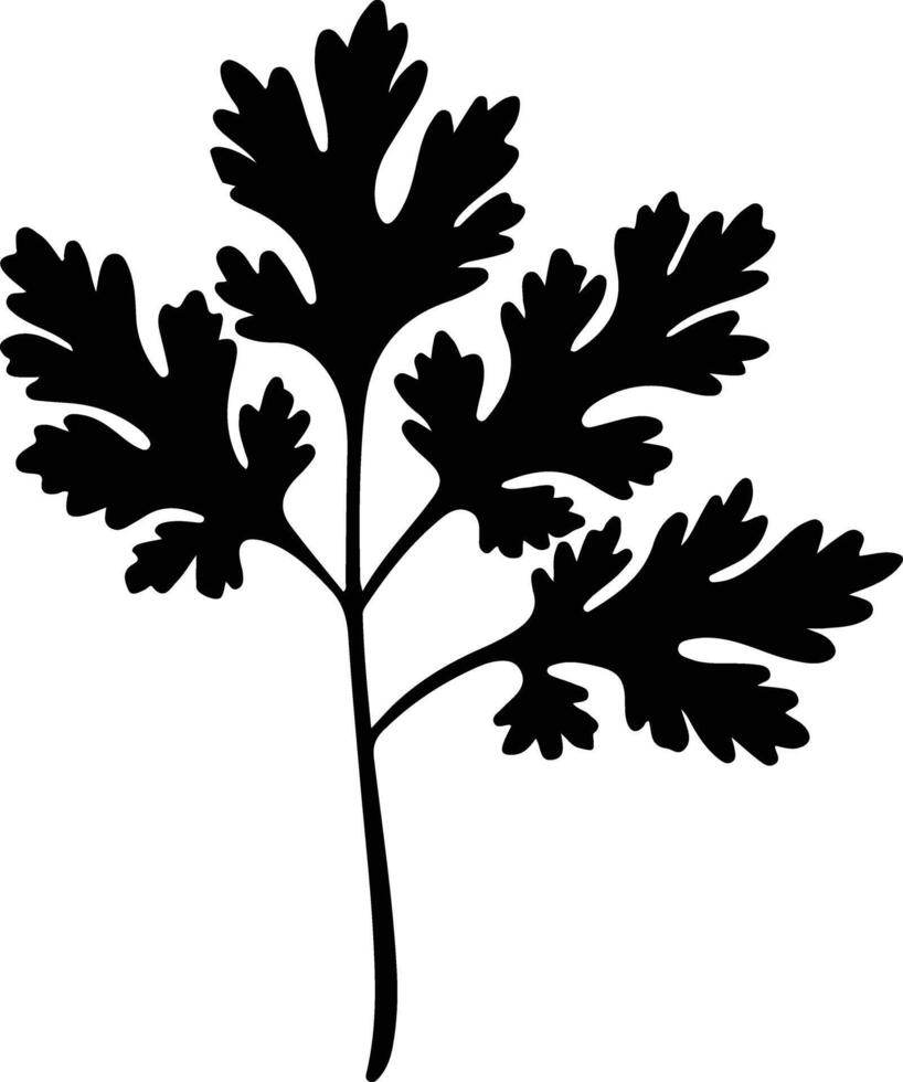 parsley  black silhouette vector