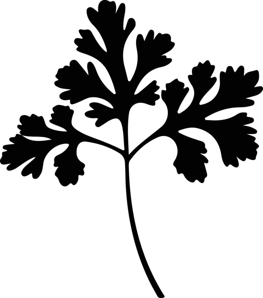 parsley  black silhouette vector