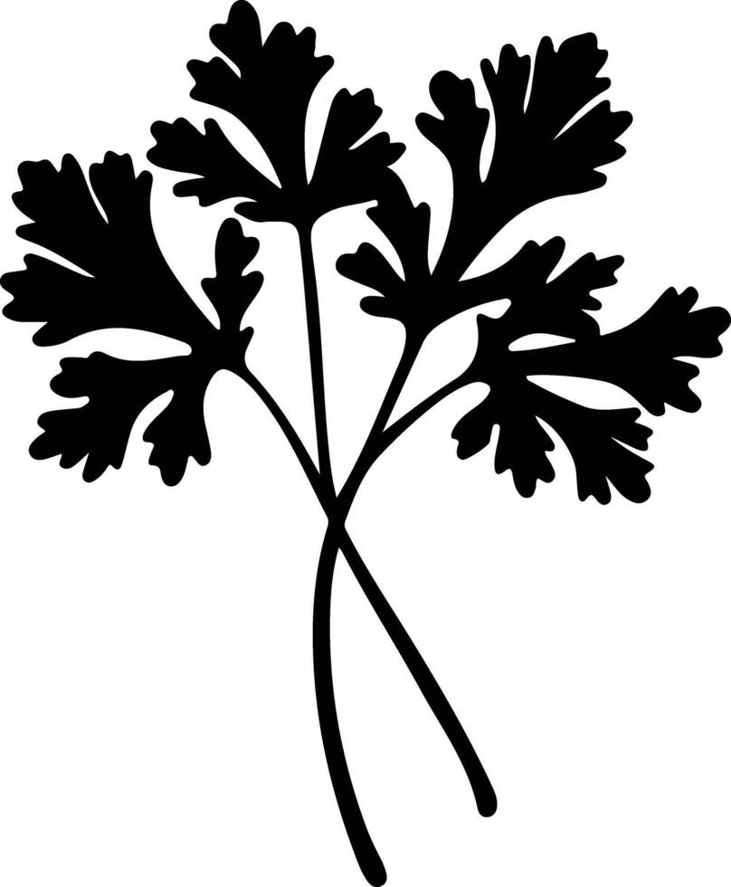 parsley  black silhouette vector