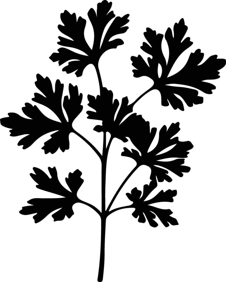 parsley  black silhouette vector