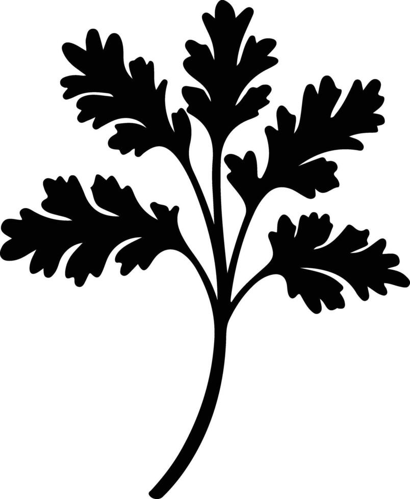 parsley  black silhouette vector