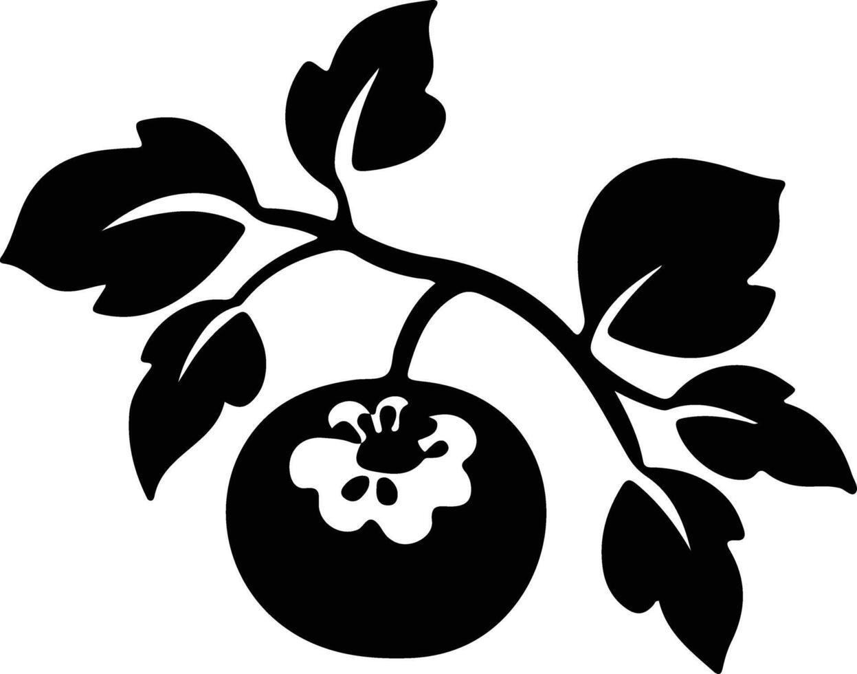 persimmon  black silhouette vector