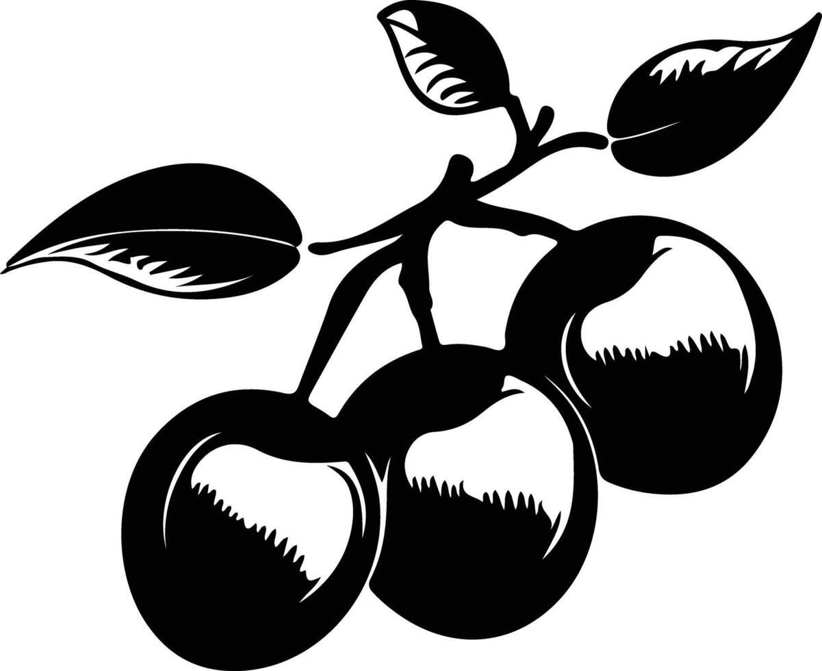 plum  black silhouette vector