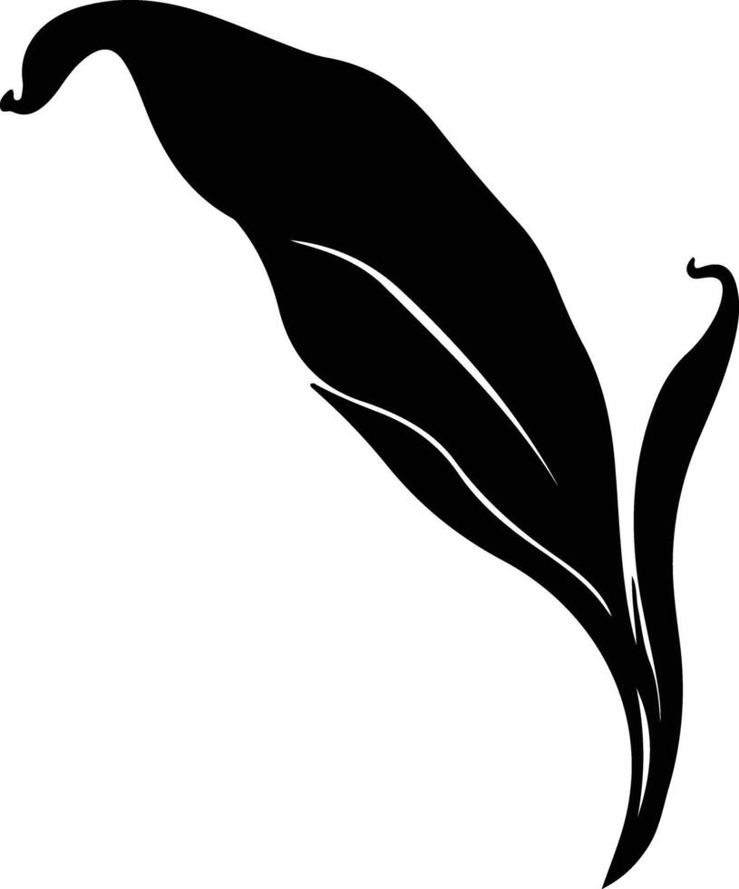 plantain  black silhouette vector