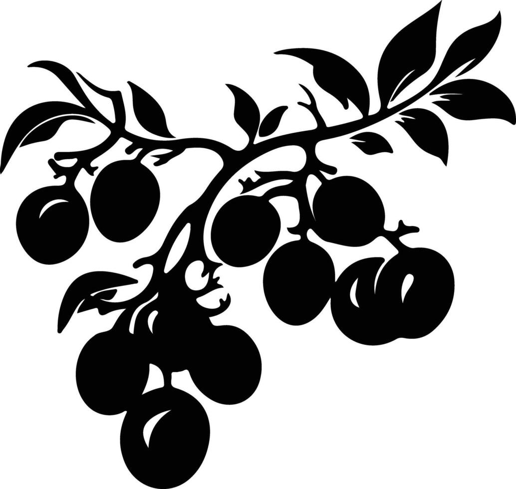 prune  black silhouette vector