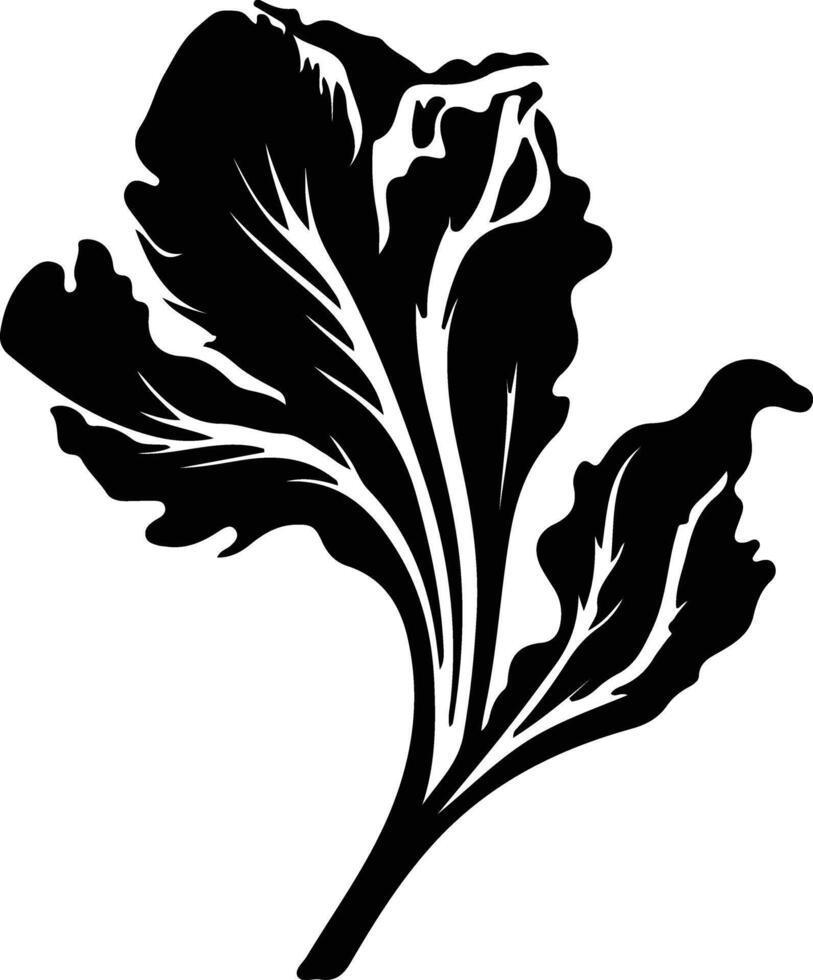 radicchio  black silhouette vector