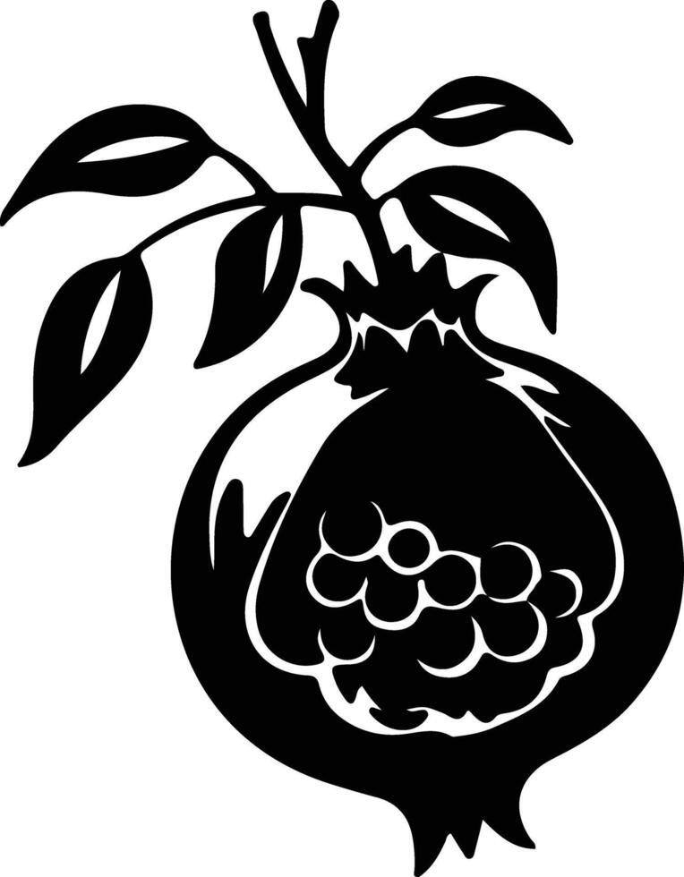 pomegranate  black silhouette vector
