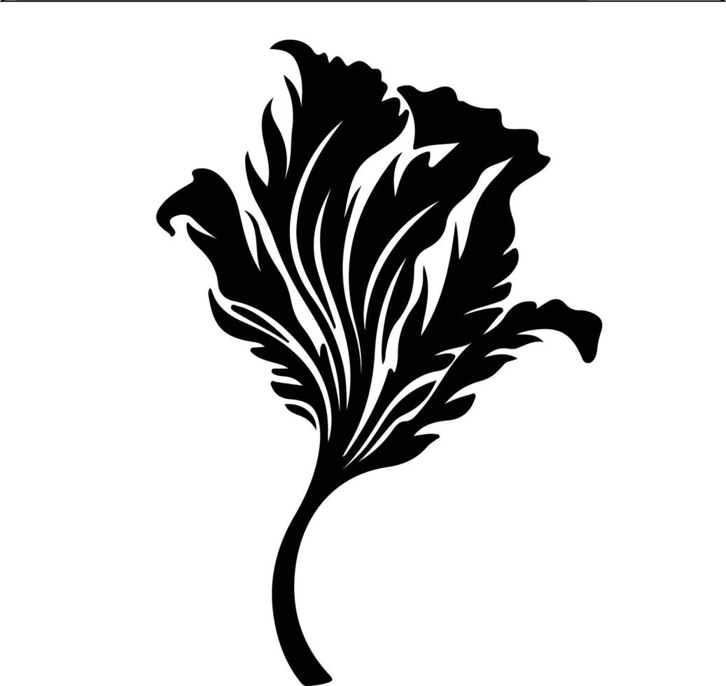 radicchio  black silhouette vector