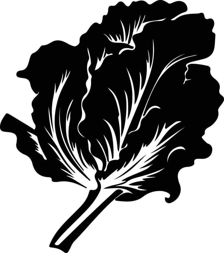 radicchio  black silhouette vector