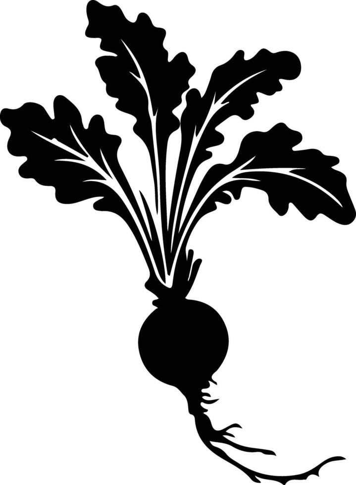 radish  black silhouette vector