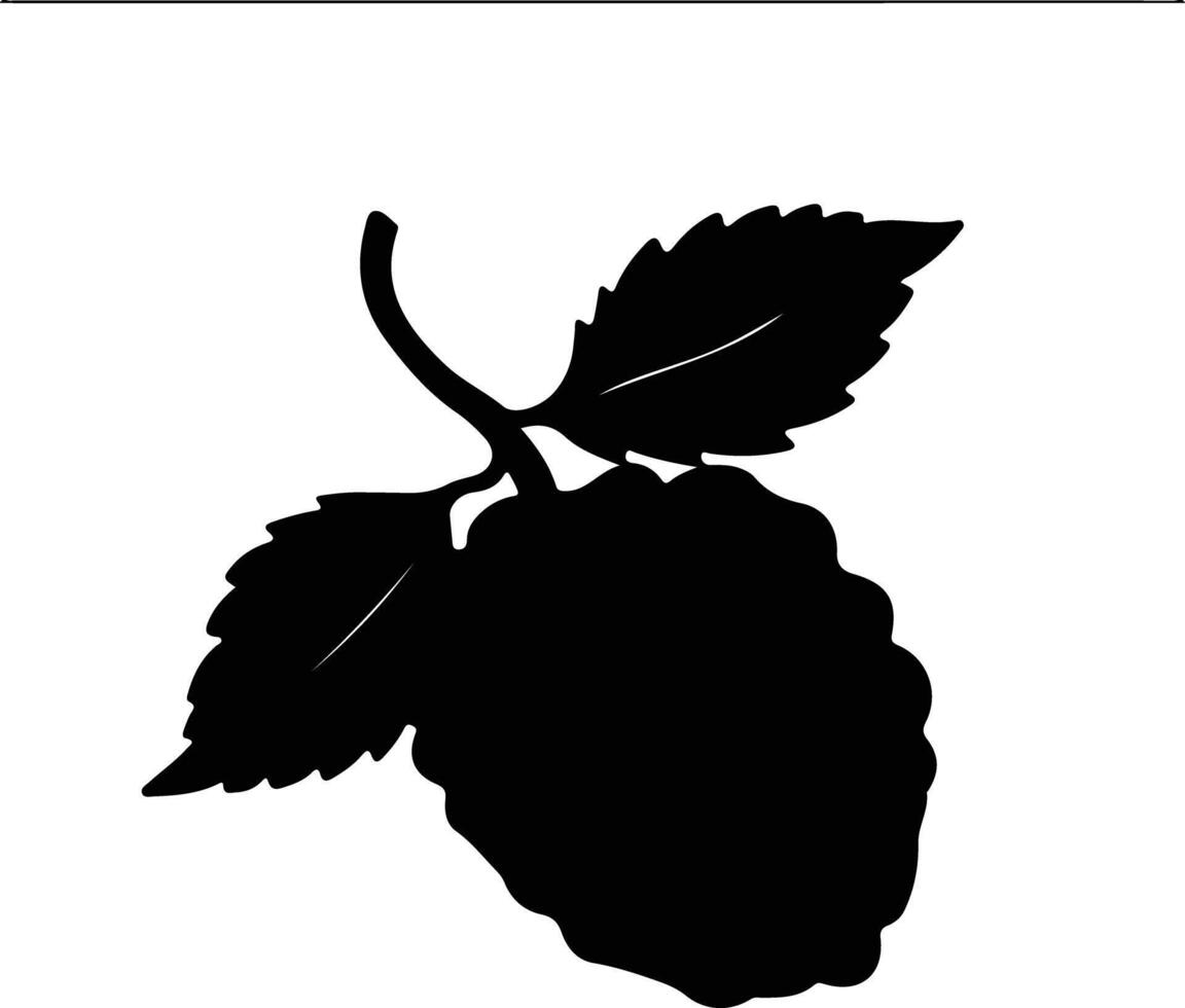 raspberry  black silhouette vector