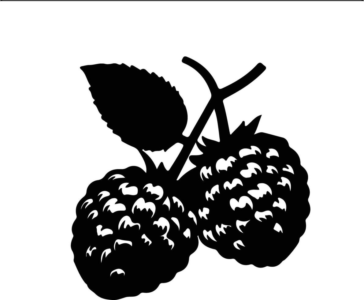 raspberry  black silhouette vector