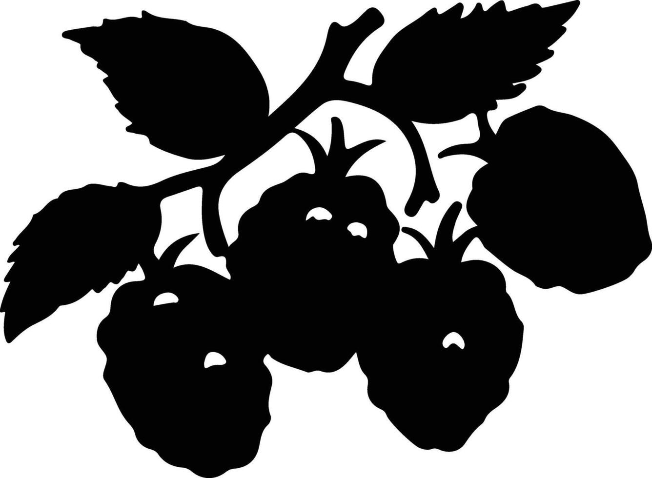 raspberry  black silhouette vector