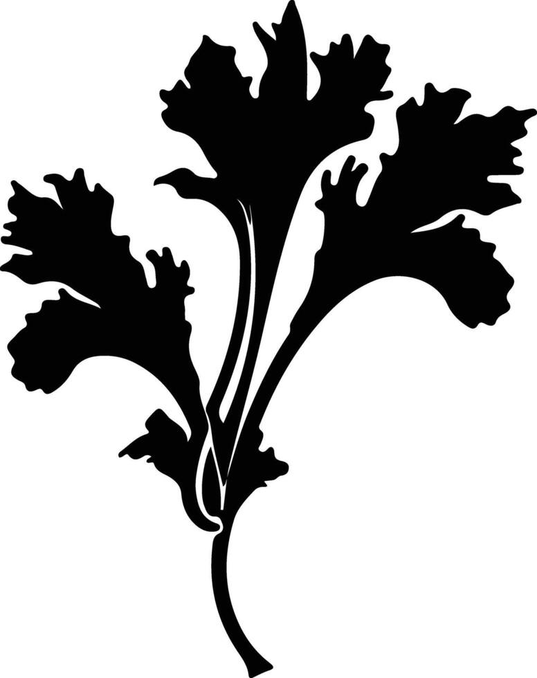 rhubarb  black silhouette vector