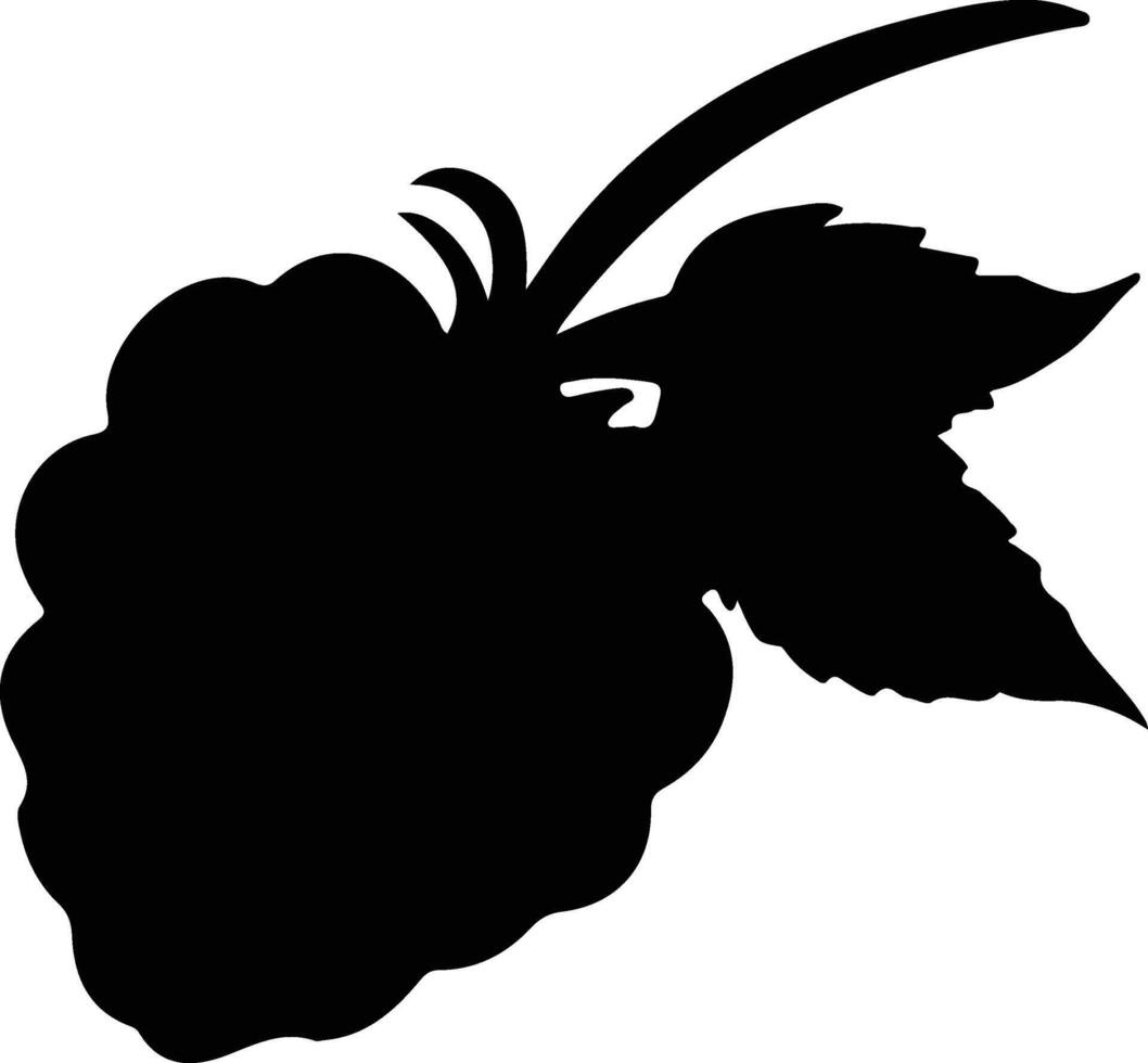 raspberry  black silhouette vector