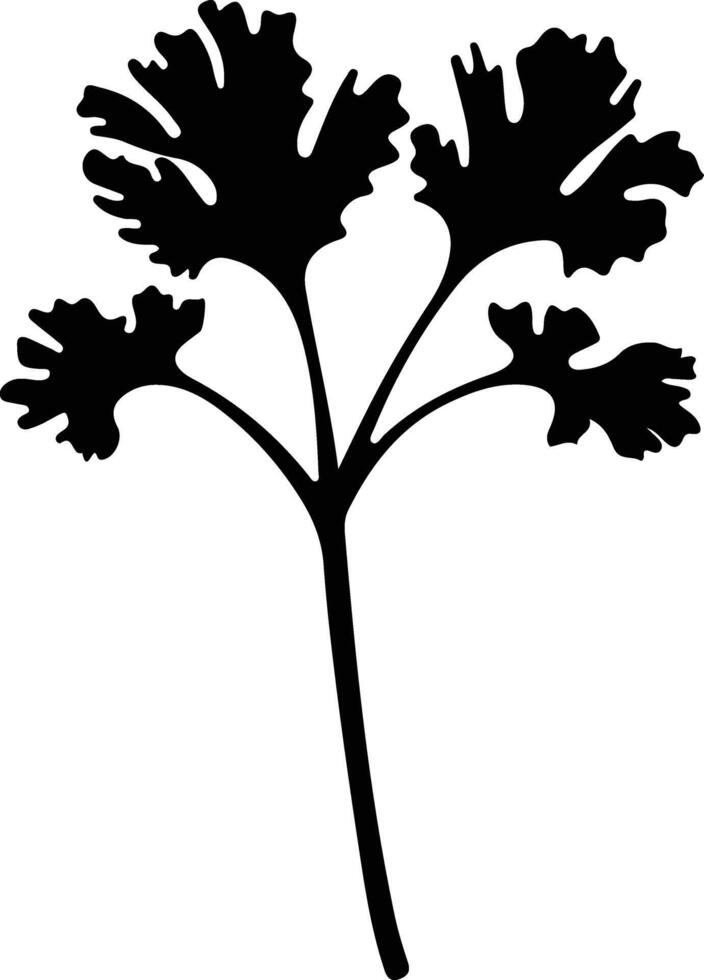 rhubarb  black silhouette vector