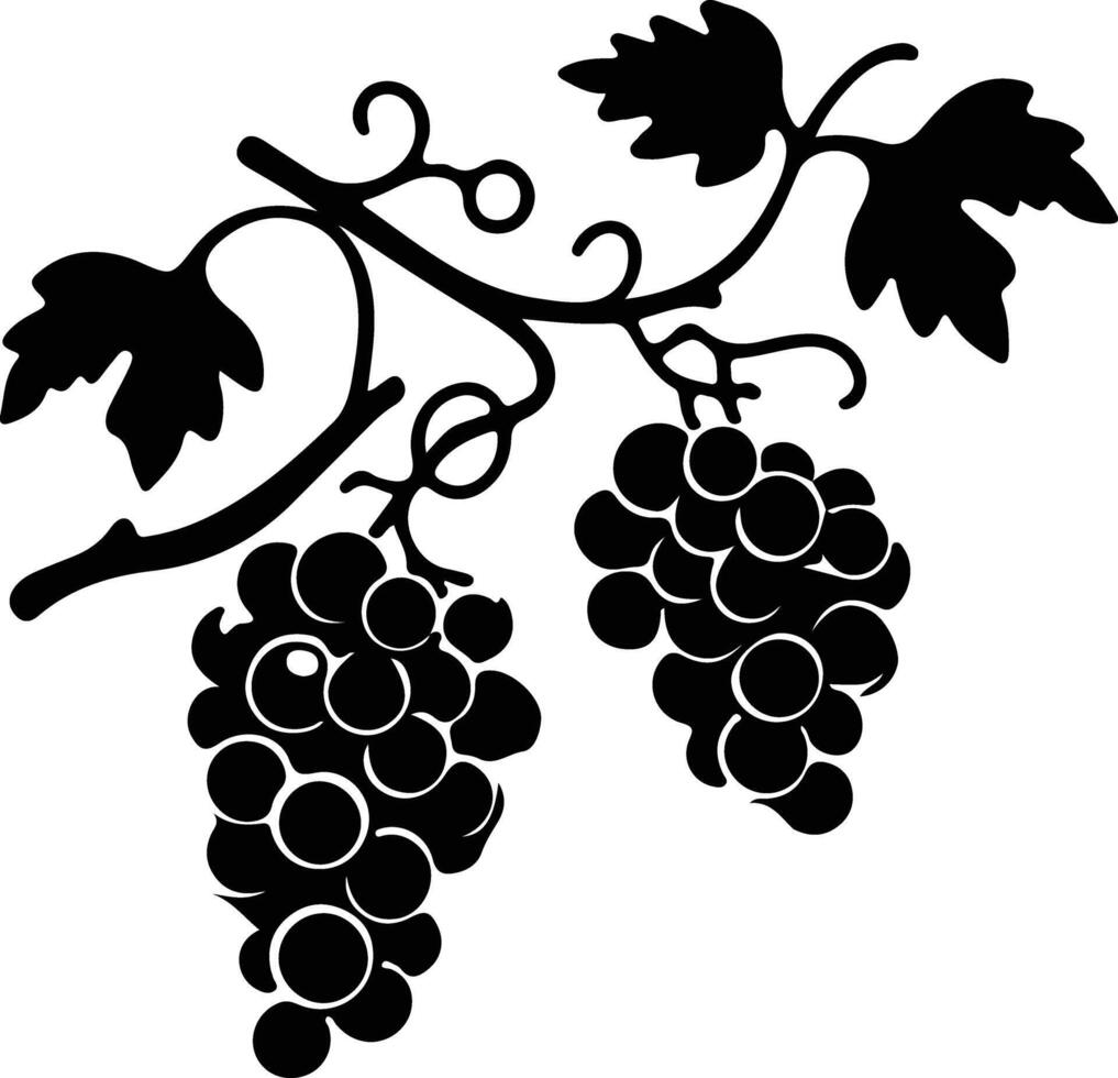 raisin  black silhouette vector