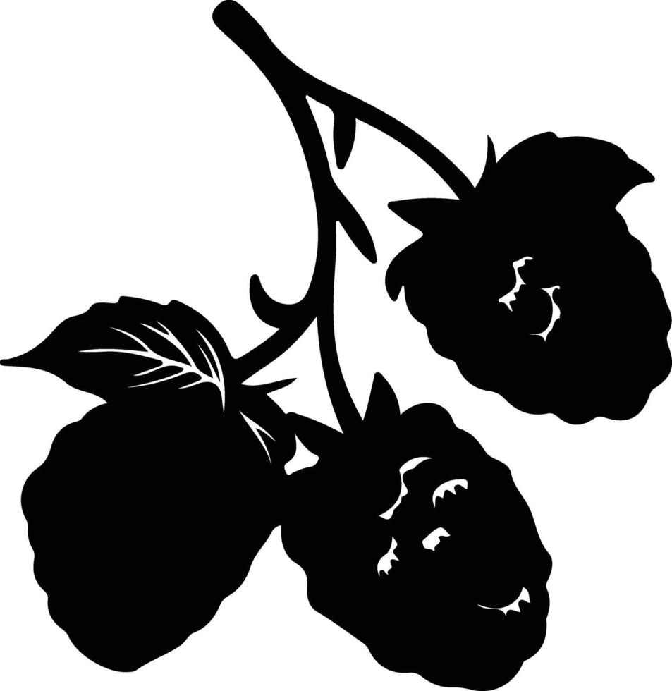 raspberry  black silhouette vector