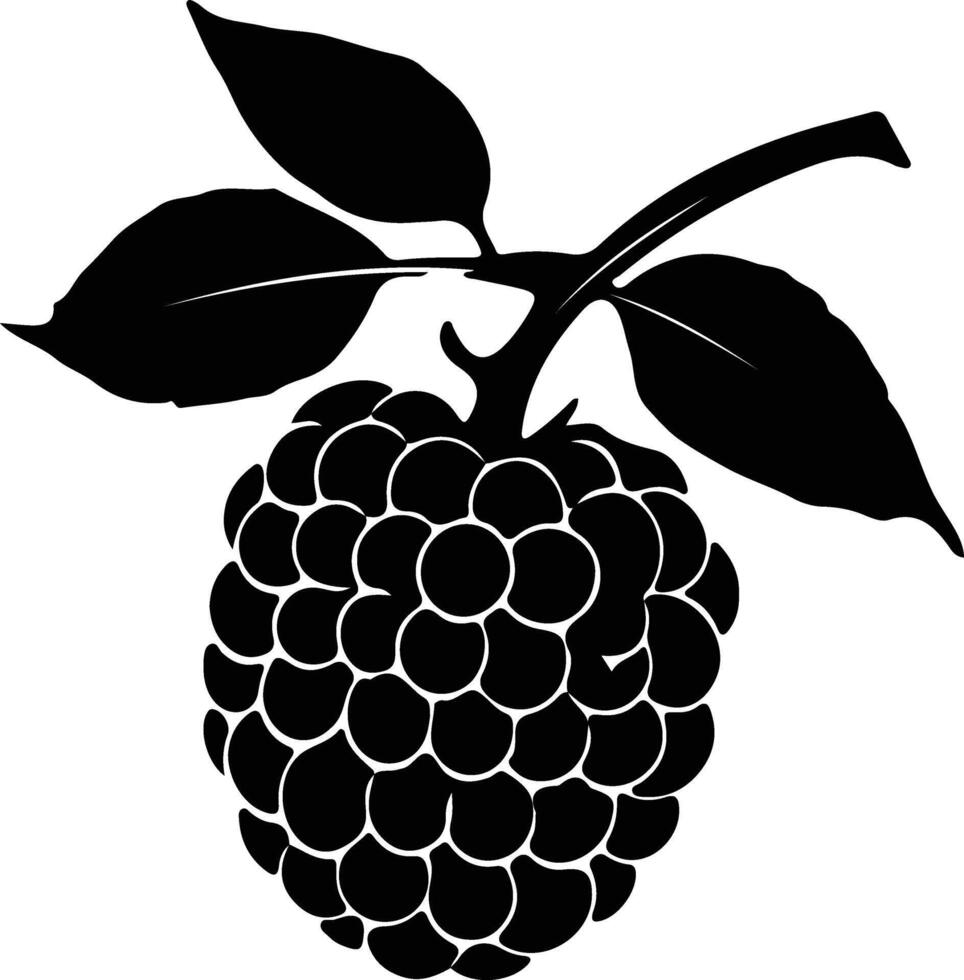 raspberry  black silhouette vector