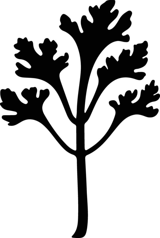 rhubarb  black silhouette vector