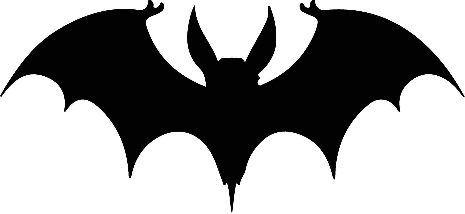 vampire bat  black silhouette vector