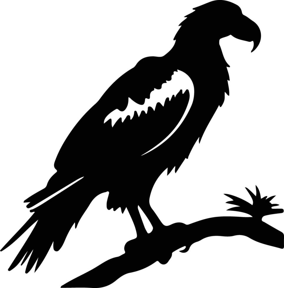 vulture  black silhouette vector