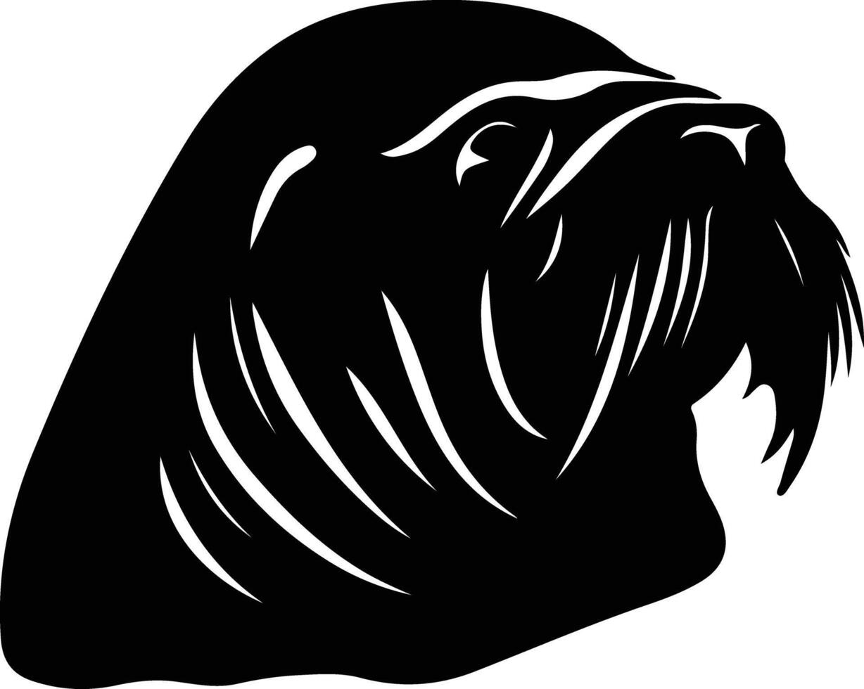 walrus  black silhouette vector