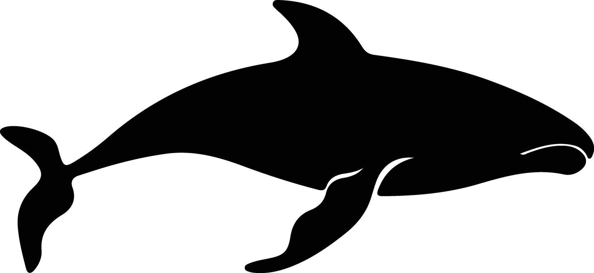 whale  black silhouette vector