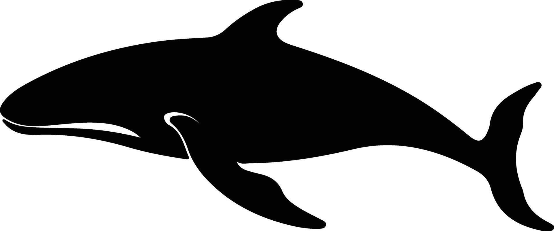 whale  black silhouette vector