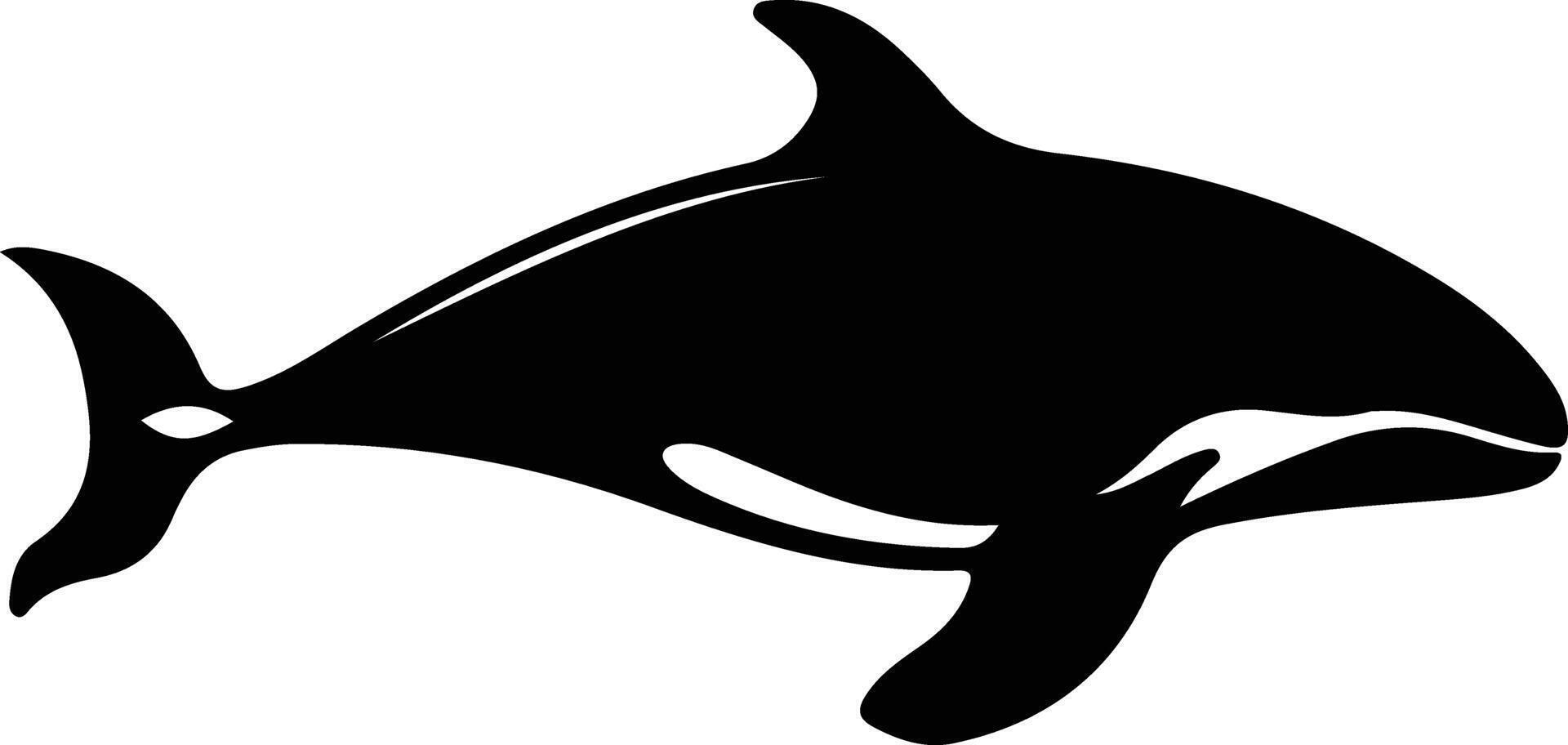 whale  black silhouette vector