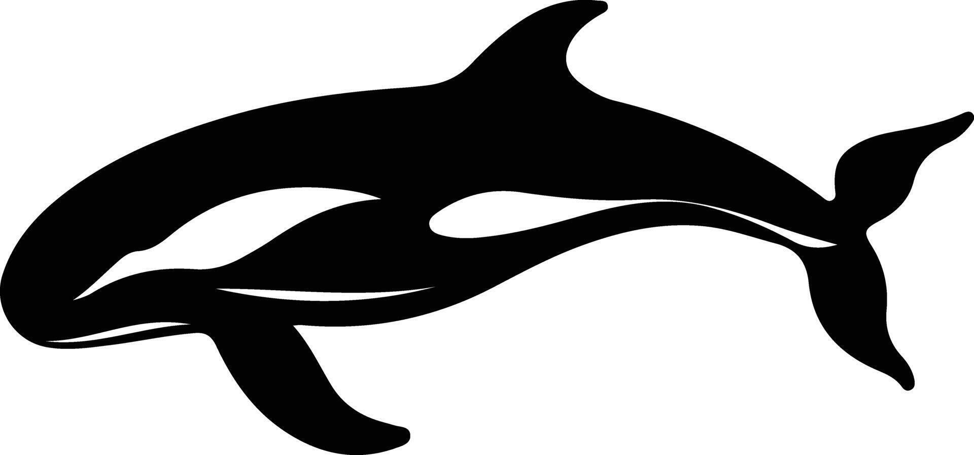 whale  black silhouette vector