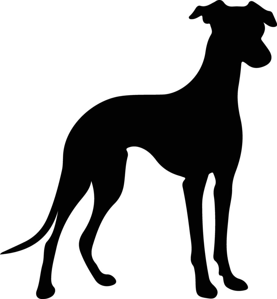 whippet  black silhouette vector