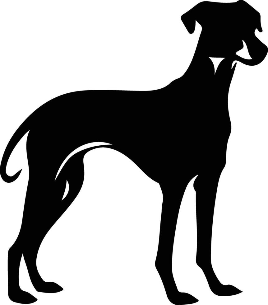 whippet  black silhouette vector