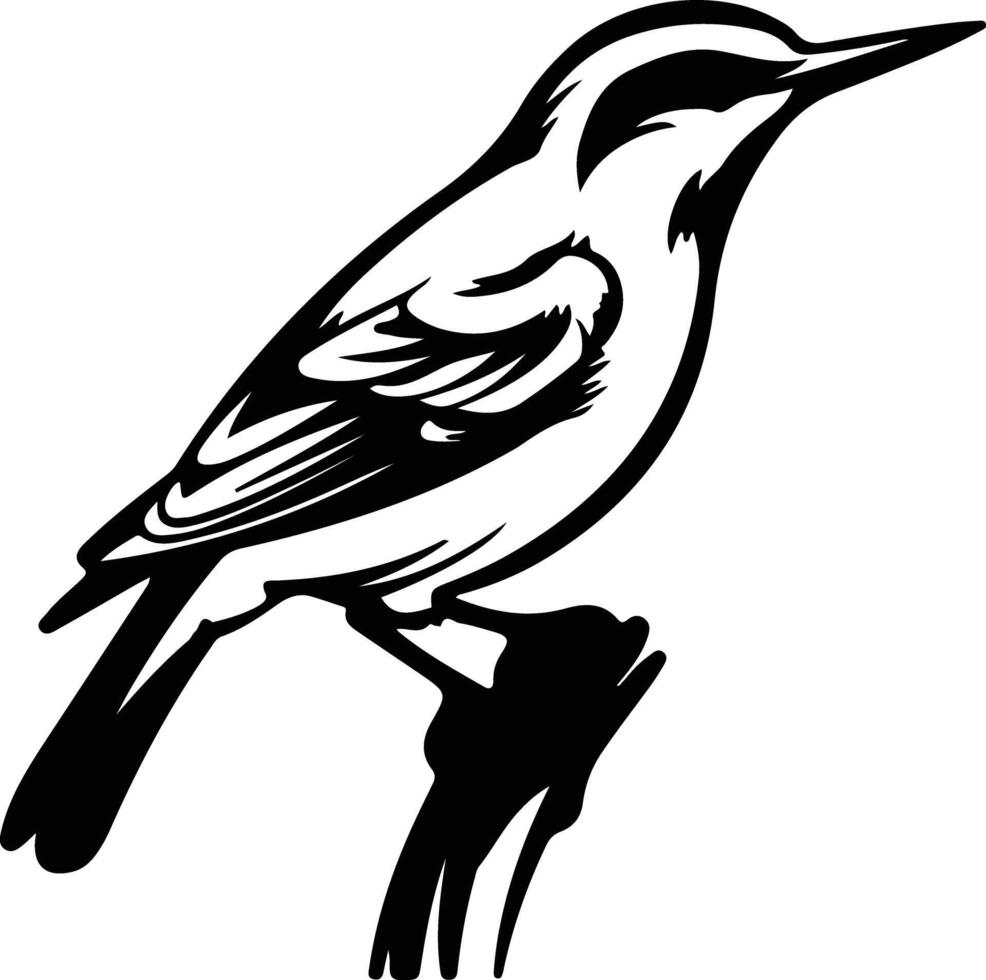 white-breasted nuthatch  black silhouette vector