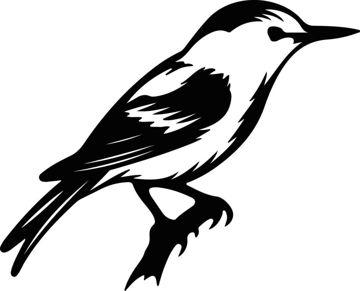 white-breasted nuthatch  black silhouette vector