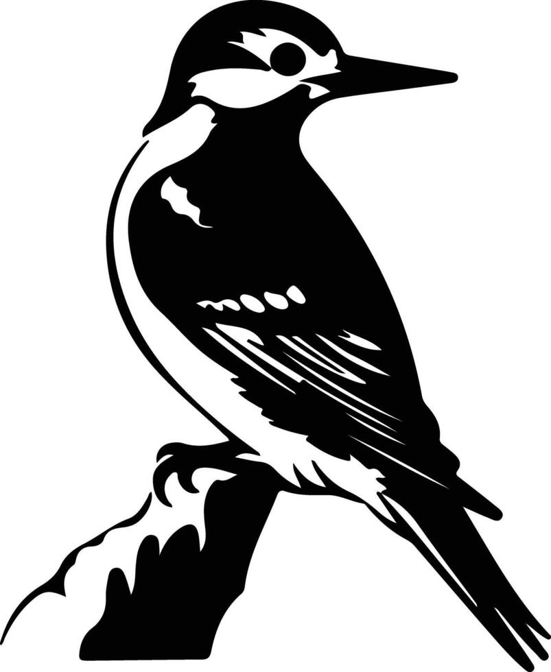 pájaro carpintero negro silueta vector