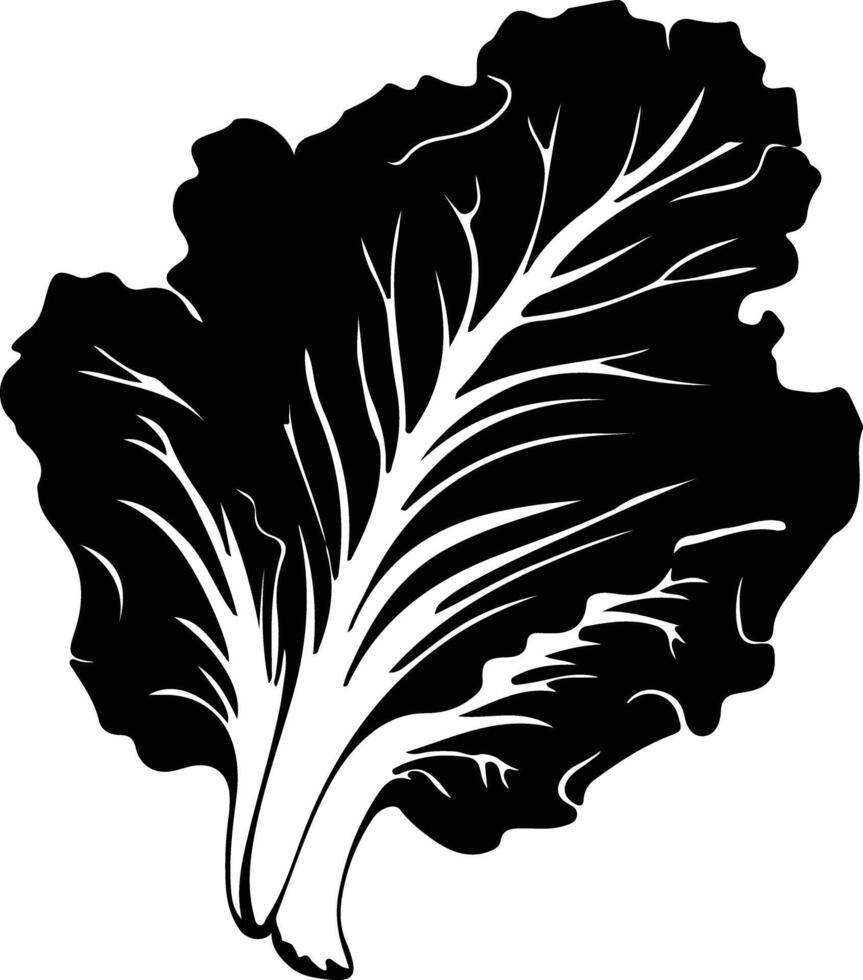 Chinese cabbage  black silhouette vector