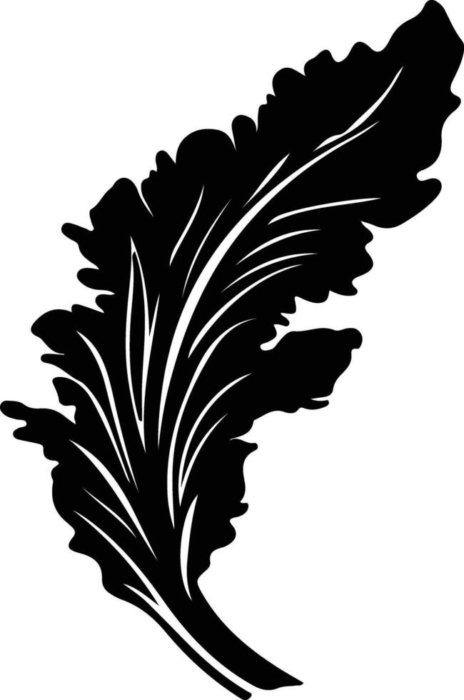 Chinese cabbage  black silhouette vector