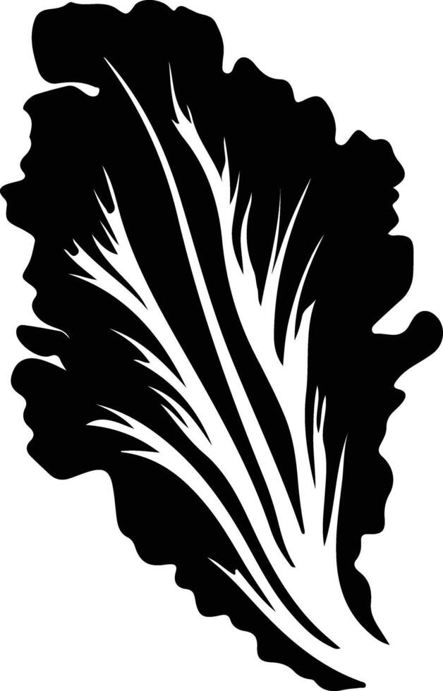Chinese cabbage  black silhouette vector