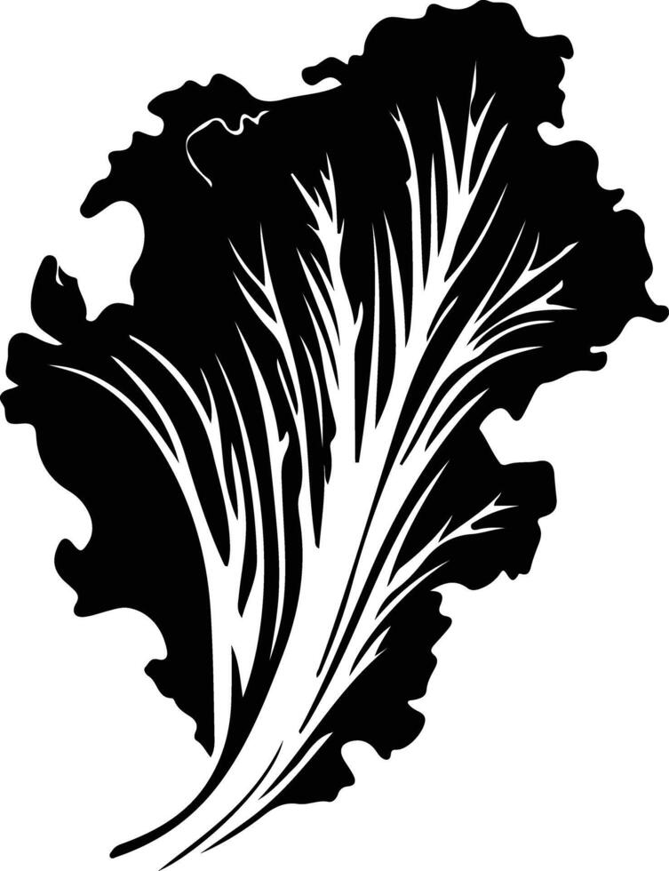 Chinese cabbage  black silhouette vector