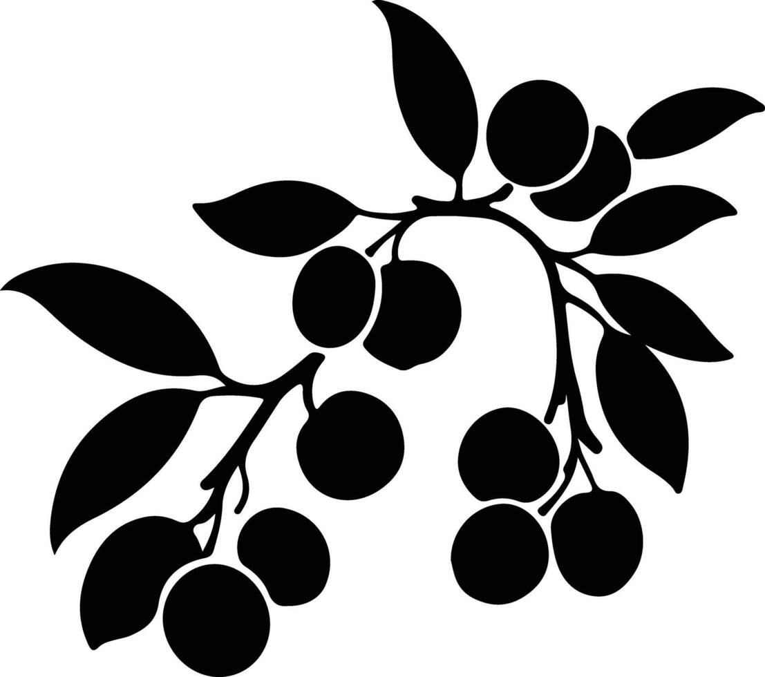apricot  black silhouette vector