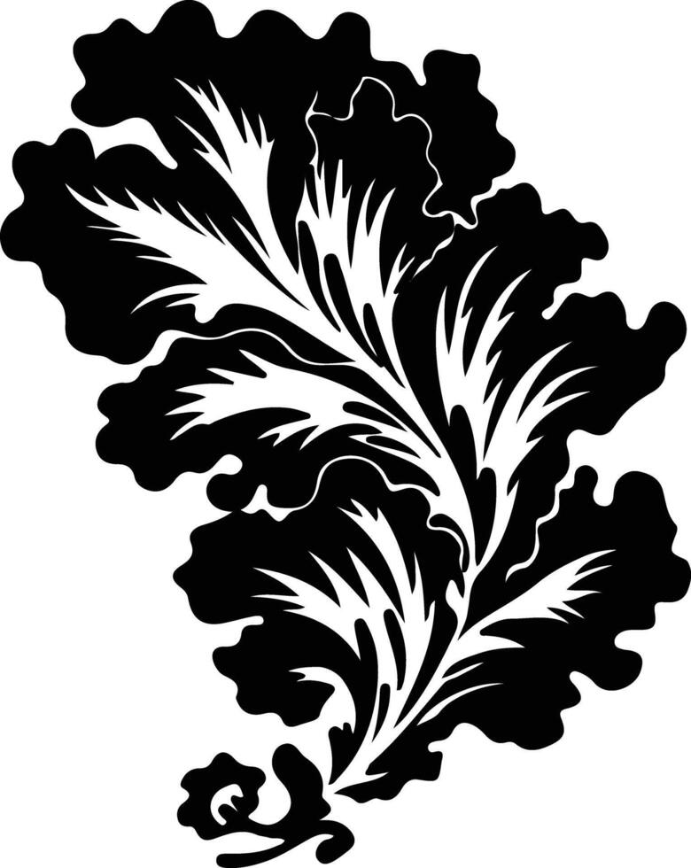 Chinese cabbage  black silhouette vector