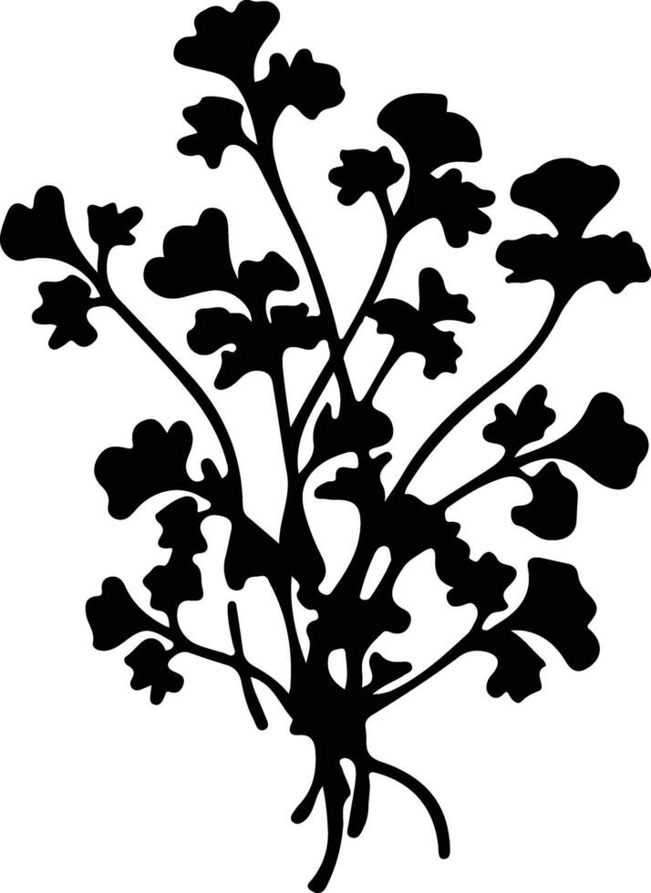 arugula  black silhouette vector