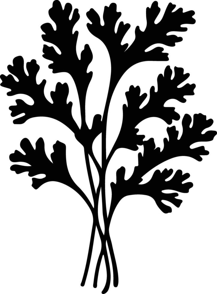 arugula  black silhouette vector