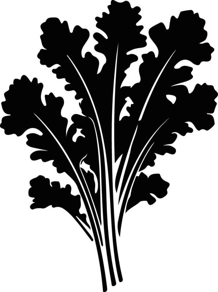 arugula  black silhouette vector