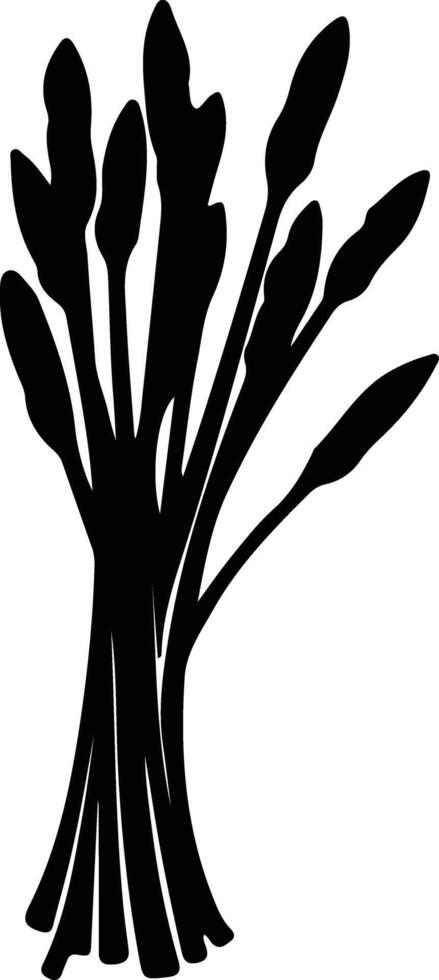 asparagus  black silhouette vector