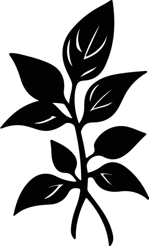 basil  black silhouette vector