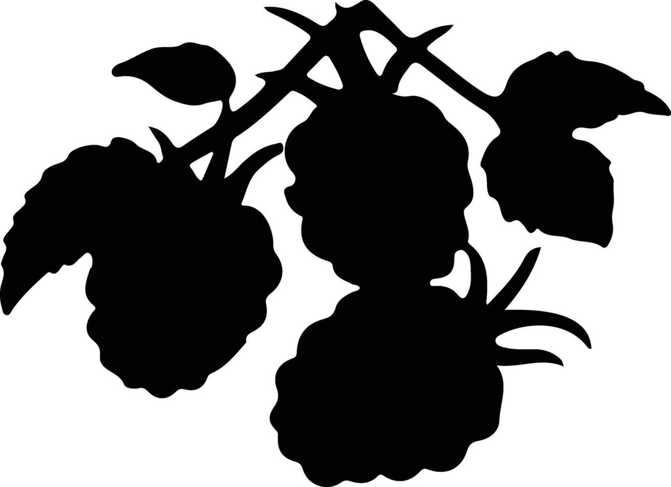 blackberry black silhouette vector
