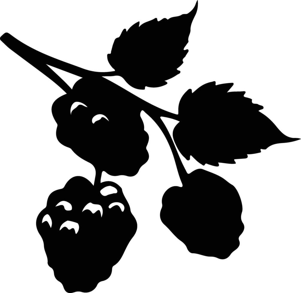 berry  black silhouette vector