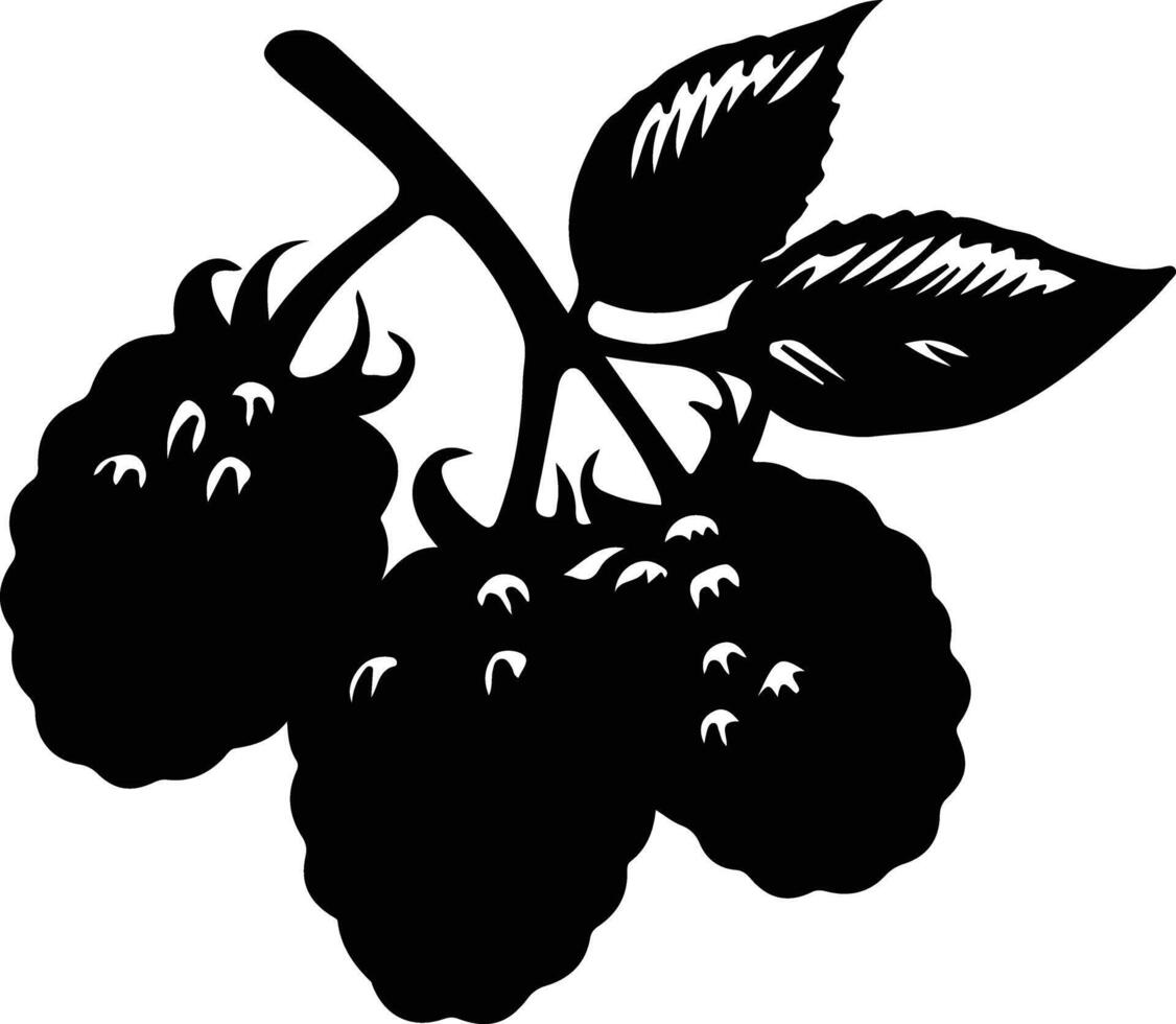 berry  black silhouette vector